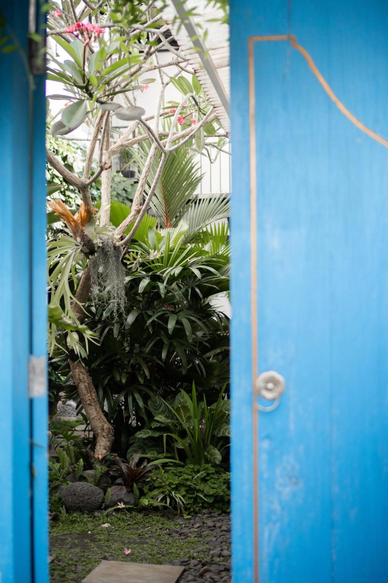 Betah Homestay Banyuwangi Banyuwangi  Luaran gambar